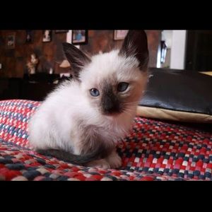 Meet your Posher, Magdalena